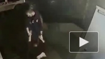 Видео с врачами скорой, издевавшимися над пациентом без сознания, вызвало скандал