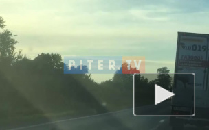 ДТП на Красносельском шоссе: от удара машина вылетела в кювет 