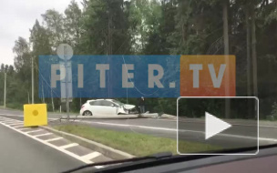 Видео: на Приморском шоссе Opel снес столб 