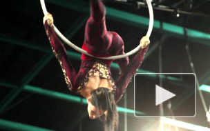 Цирк Дю Солей в Санкт-Петербурге: секреты закулисья