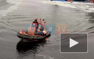 Рядом с Кронверским мостом утонула собака