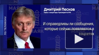 Песков заявил об отсутствии окончательных решений по базам РФ в Сирии