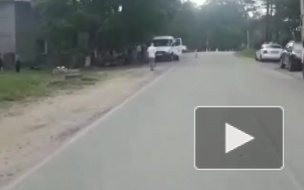 В Ленобласти погиб влетевший в дерево водитель