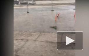 В Петербурге прошел град 