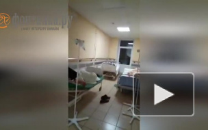 Появилось видео из Покровской больницы, где больные пневмонией лежат в коридоре