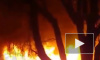 Жуткое видео из Ростова: двое мужчин бросили погибать женщин в пожаре