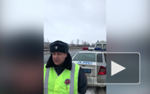 Под Петербургом водитель насмерть сбил пешехода и скрылся