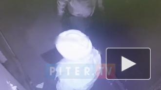 Видео: освобождение детей-заложников в Колпино