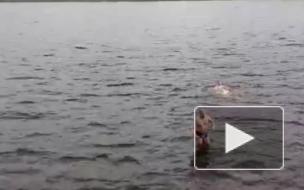 Закаленные петербуржцы открыли купальный сезон в Неве