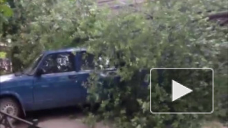Первые последствия шторма в Петербурге: разбитые окна авто