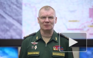 Группировка "Запад" ВС России за сутки уничтожила до 80 украинских военных