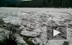 Завораживающе красивые кадры ледохода на реке Мана появились в интернете