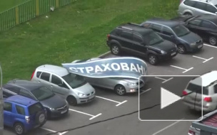 Отважная леди защищала свой автомобиль от урагана в Москве
