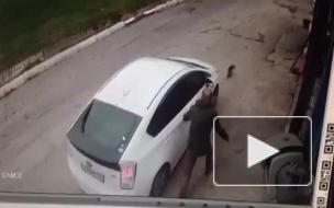 Видео: во Владивостоке девушка переехала на машине собаку на глазах у хозяина