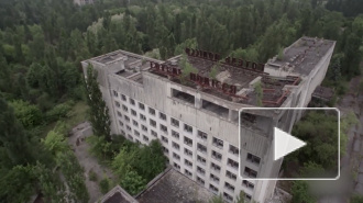 После выхода сериала "Чернобыль" появился новый вид беспощадных мутантов