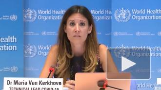 ВОЗ рассказала об опасности ночных клубов