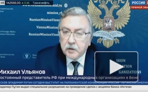 Постпред РФ: миссия МАГАТЭ на ЗАЭС отвечает интересам России