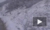 Минобороны показало кадры уничтожения пехоты ВСУ у Белогоровки