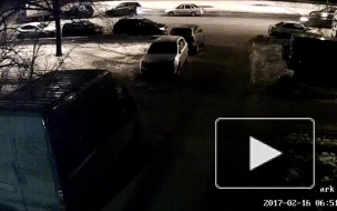 Камера видео наблюдения сняла, как сбили человека в Санкт-Петербурге
