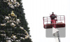 На Дворцовой устанавливают старую новогоднюю елку с новыми украшениями