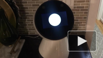 Трогательное видео: роботы Jibo перед "смертью" попрощались со своими хозяевами