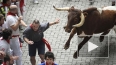 Разъяренные быки ранили в Испании семерых человек
