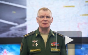 Минобороны РФ: российские военные уничтожили склад украинских боеприпасов в Запорожской области