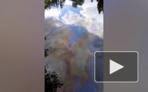 На реке Смоленке снова заметили радужные пятна