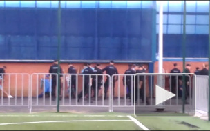Появилось видео драки футбольных фанатов с сотрудниками ОМОН