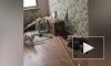 Два кота затопили несколько квартир в доме на улице Верности