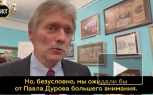 Песков призвал Дурова внимательнее следить за Telegram после теракта в "Крокусе"