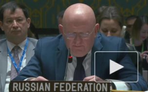 Небензя указал, что США ничего не сделали для спасения своего гражданина Лиры на Украине