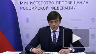 Минпросвещения России намерено запустить программы образовательных обменов