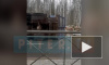Видео: на Суздальском проспекте мусоровоз завалился набок