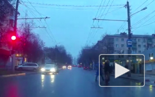 Всем ребятам пример: Воспитанный голубь из Калуги переходит дорогу по правилам