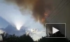 В Оренбурге локализовали лесной пожар в районе СНТ "Урал"