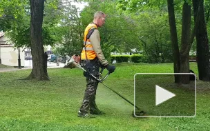 Видео: в Выборге косят газоны в парках и скверах