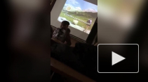 В школе Краснодара ученики на уроке пели "Владимирский централ"