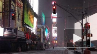 Снежная буря Джуно в Нью-Йорке парализовала работу и спровоцировала массовое помешательство интернет-пользователей 