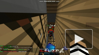 PaLaDiN 1.13