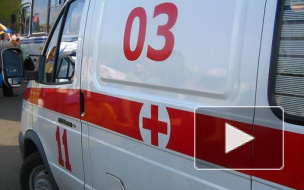 В Подмосковье гидроплан столкнулся с вертолетом, погибли трое, в том числе ребенок 