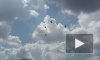 Репетиция парада ко Дню ВМФ: над Петербургом пролетели вертолеты