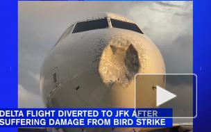 В Нью-Йорке вынужденно сел самолет после столкновения с птицей