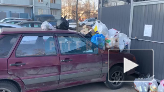 "Народная месть в действии": жители проспекта Мечникова закидали мусором машину автохама