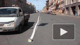 Автомобилист нанес разметку на Гороховой улице, лишив «кормушки» гаишников