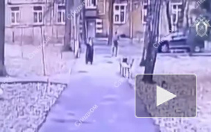 Москвич жестоко избил 78-летнюю старушку, кормившую кошку