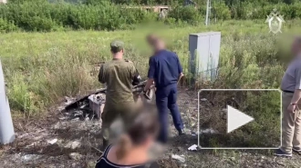 В Тульской области против группы подростков завели дело о диверсии