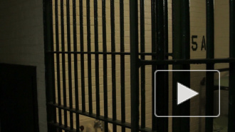 Губернатор Подмосковья подписал рекомендацию помиловать Нааму Иссахар