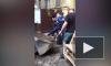 Видео: петербуржцы борются за историческую брусчатку у дома Семёнова. Сохранить ее удалось лишь частично