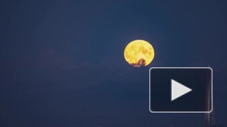Видео: над "Лахта Центром" поднялась Охотничья Луна